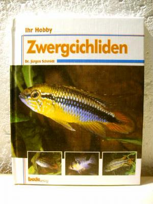 Ihr Hobby - Zwergcichliden