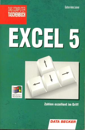 Excel 5. Zahlen exzellent im Griff.