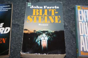 gebrauchtes Buch – John Farris – Blutsteine gebrauchtes Buch – John Farris – Blutsteine