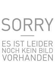 gebrauchter Tonträger – Das Seniorenorchester des Frankfurter Verbandes – An einem Tag im Frühling gebrauchter Tonträger – Das Seniorenorchester des Frankfurter Verbandes – An einem Tag im Frühling