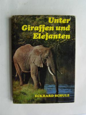 UNTER GIRAFFEN UND ELEFANTEN