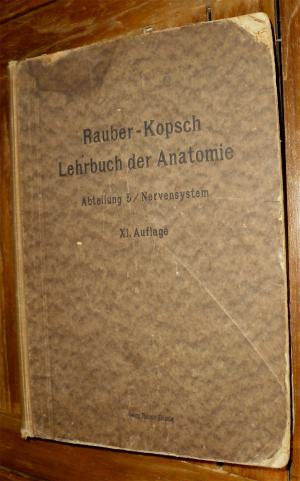 Lehrbuch Der Anatomie Abteilung 5 Nervensystem Rauber Kopsch Buch Antiquarisch Kaufen A01uufjw01zzc