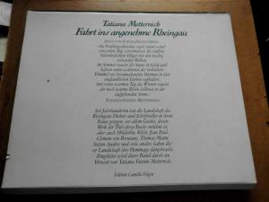 gebrauchtes Buch – Metternich, Tatiana von – Fahrt ins angenehme Rheingau mit Aquarellen und einem Rheingau-Florilegium