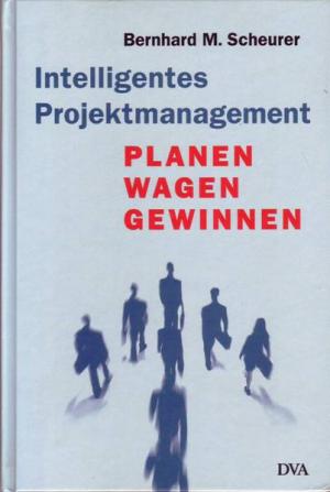 Intelligentes Projektmanagement Planen Wagen Gewinnen