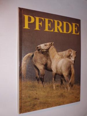 gebrauchtes Buch – Angela Sayer – Pferde