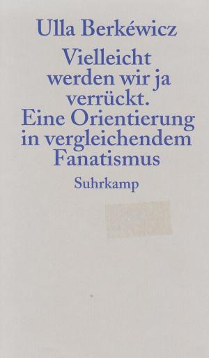 Vielleicht werden wir ja verrückt - Eine Orientierung in vergleichendem Fanatismus