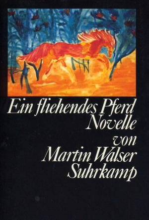 gebrauchtes Buch – Martin Walser – Ein fliehendes Pferd.