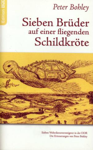 Sieben Brüder auf einer fliegenden Schildkröte