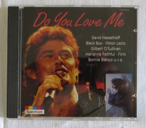 gebrauchter Tonträger – David Hasselhoff – Do you Love Me