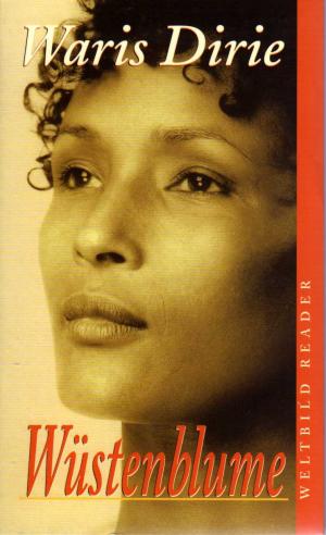 gebrauchtes Buch – Waris Dirie – Wüstenblume