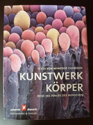 Kunstwerk Körper