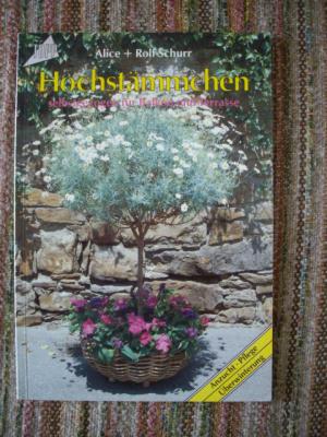 Hochstämmchen selbstgezogen für Balkon und Terasse