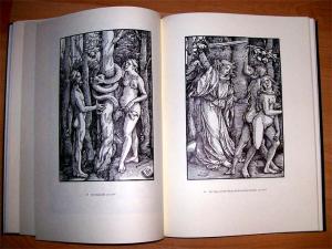 gebrauchtes Buch – Matthias Mende – Hans Baldung Grien - Das graphische Werk