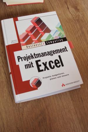 gebrauchtes Buch – Ignatz Schels – Projektmanagement mit Excel