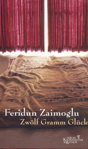 gebrauchtes Buch – Feridun Zaimoglu – Zwölf Gramm Glück gebrauchtes Buch – Feridun Zaimoglu – Zwölf Gramm Glück