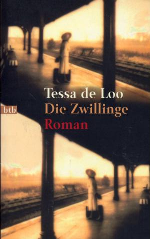 gebrauchtes Buch – Loo, Tessa de – Die Zwillinge