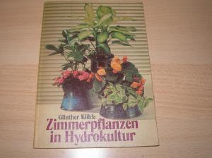 Zimmerpflanzen in Hydrokultur