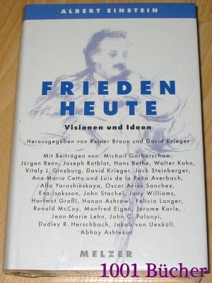 neues Buch – Braun, Reiner; Krieger – Albert Einstein: Frieden heute - Visionen und Ideen