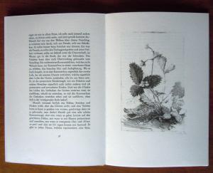 Das Erdbeeri Mareili. [6] Original-Lithographien von Roland Thalmann. (Erato-Reihe ; 5). (Kammerdruck des Daphnis-Verlages ; 9). [Numeriertes und vom […]