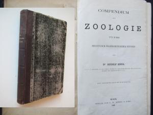 Compendium der Zoologie für Hörer medizinisch-pharmaceutischer Studien. 3. umgearbeitete Aufl. Wien 1862. * Mit 40 Holzschnitten. * XVI, 363 S. Hlwd. […]