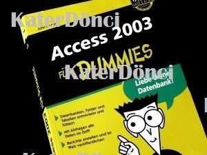 Access 2003 für Dummies - Liebe deine Datenbank