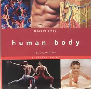 human body - Beverly McMillan