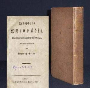 Xenophons Cyropädie. Eine Unterweisungsschrift für Prinzen. Aus dem Griechischen von Friedrich Grillo.