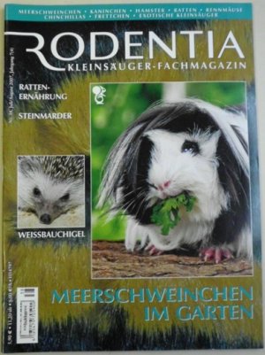 Rodentia Kleinsauger Fachmagazin Meerschweinchen Im Garten