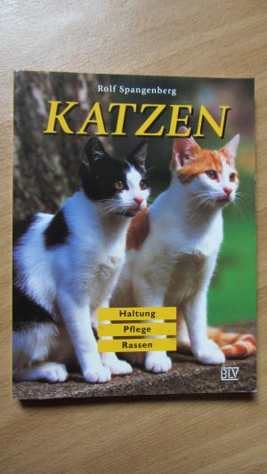 Katzen