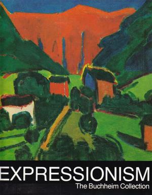 gebrauchtes Buch – Expressionism