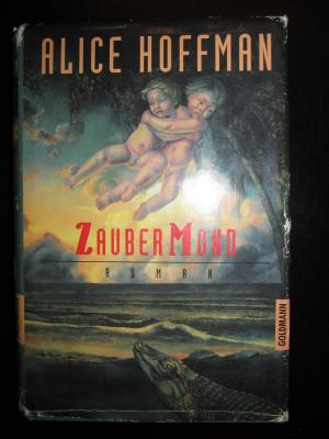 gebrauchtes Buch – Alice Hoffman – Zaubermond