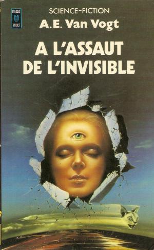 À L'assaut De L'invisible