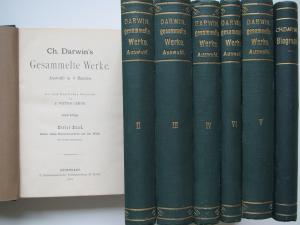 Darwin, Ch. Gesammelte Werke. Auswahl in 6 Bänden. 2. Auflage. 6 Bde. Stuttgart 1885-86. * Mit 1 Portr., zus. 156 Holzschnitten und 7 Tafeln. * Original […]