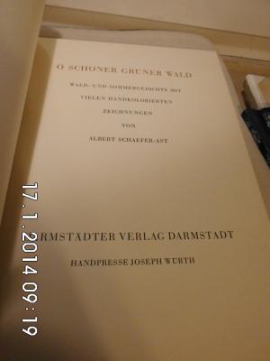 antiquarisches Buch – Albert Schaefer-Ast – O schöner grüner Wald.