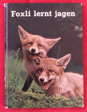 Foxli lernt jagen