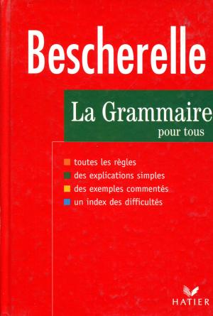 gebrauchtes Buch – Bescherelle. La Grammaire pour tous. Dictionnaire de la grammaire en 27 chapitres. Index des difficultés grammaticales.