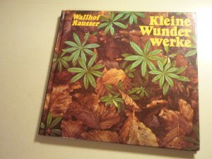 gebrauchtes Buch – Wallhof, Hans / Rausser – Kleine Wunderwerke - Ein Stundenbuch