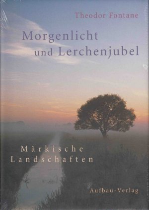 gebrauchtes Buch – Theodor Fontane – Morgenlicht und Lerchenjubel