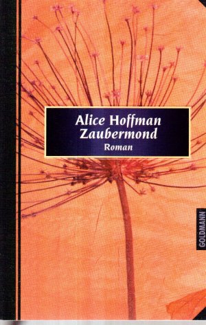 gebrauchtes Buch – Alice Hoffman – Zaubermond