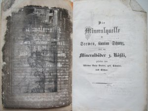 Die Mineralquelle in Seewen, Kanton Schwyz, oder die Mineralbäder z. Rößli, gehalten von Witwe Rosa Beeler, geb. Schuler und Söhne. Schwyz, Gebr. Triner […]