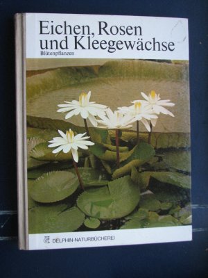 Eichen, Rosen und Kleegewächse; Blütenpflanzen