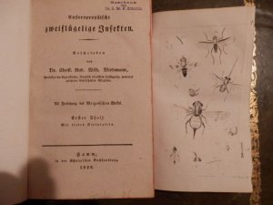 Außereuropäische zweiflügelige Insekten -- erster Teil --