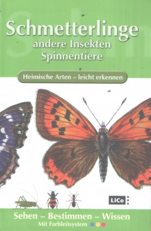 Schmetterlinge - Heimische Arten leicht erkennen