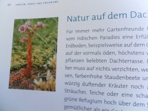 gebrauchtes Buch – Hrsg. Bundesverband Garten – Die Welt als Garten - Der Grünführer zur EXPO 2000