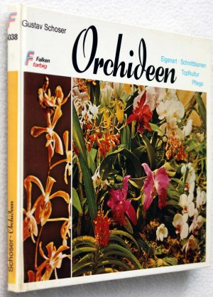 gebrauchtes Buch – Gustav Schoser – Orchideen - Eigenart, Schnittblumen, Topfkultur, Pflege