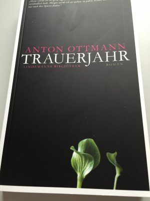 gebrauchtes Buch – Anton Ottmann – Trauerjahr