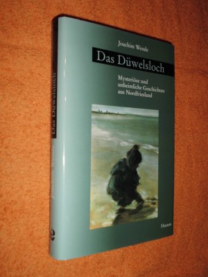 gebrauchtes Buch – Joachim Wende – Das Düwelsloch