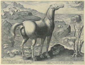 gebrauchtes Buch – "Ore omnes versae in Zephyrum stant rupis altis." Pferd, stehend nach rechts an steil abfallender Felsenküste, den Kopf dem blasenden Zephyr zugewandt, links zwei weitere Pferde, unten Verse. gebrauchtes Buch – "Ore omnes versae in Zephyrum stant rupis altis." Pferd, stehend nach rechts an steil abfallender Felsenküste, den Kopf dem blasenden Zephyr zugewandt, links zwei weitere Pferde, unten Verse.