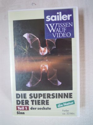 Sailer Wissen auf Video Die Supersinne der Tiere  Teil 1 Der sechste Sinn