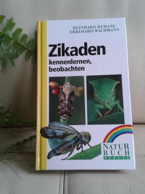 gebrauchtes Buch – Remane, Reinhard; Wachmann – Zikaden